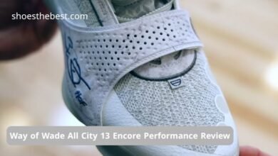 Way of Wade All City 13 Encore Performance Review